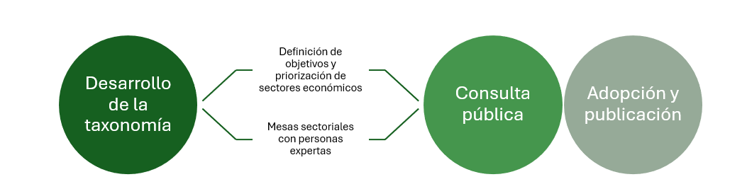 Desarrollo de la taxonomía