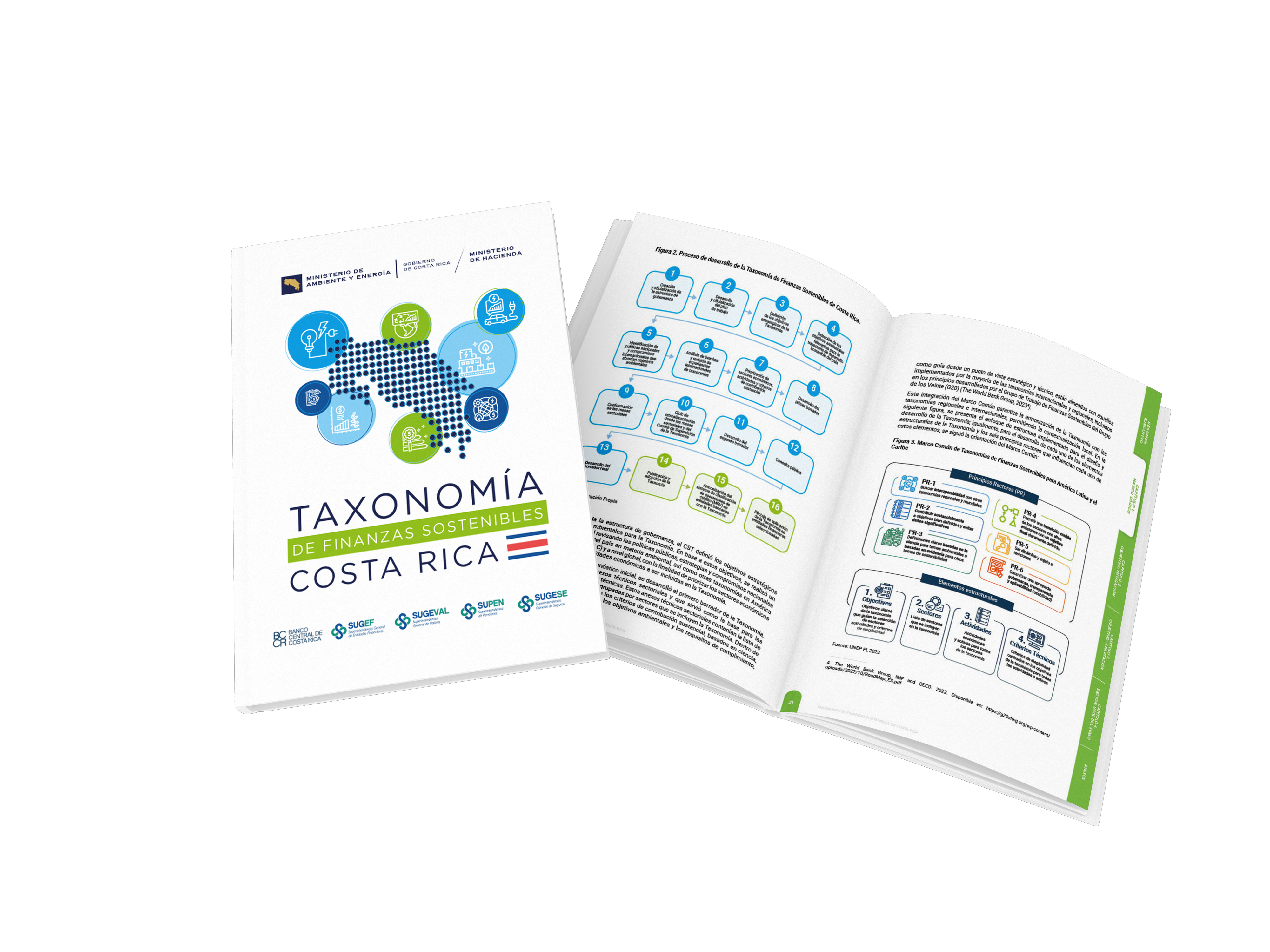 Taxonomía