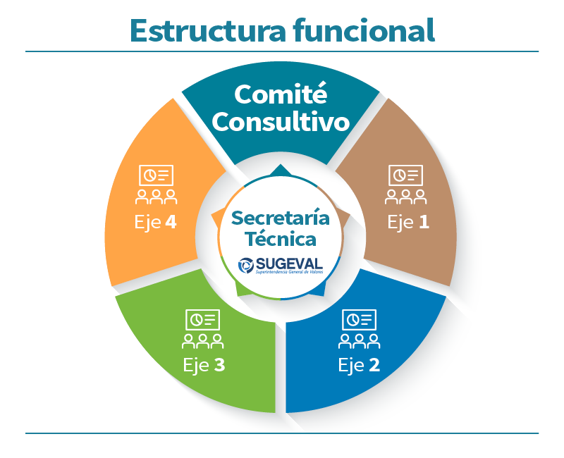 Infografico estructura funcional