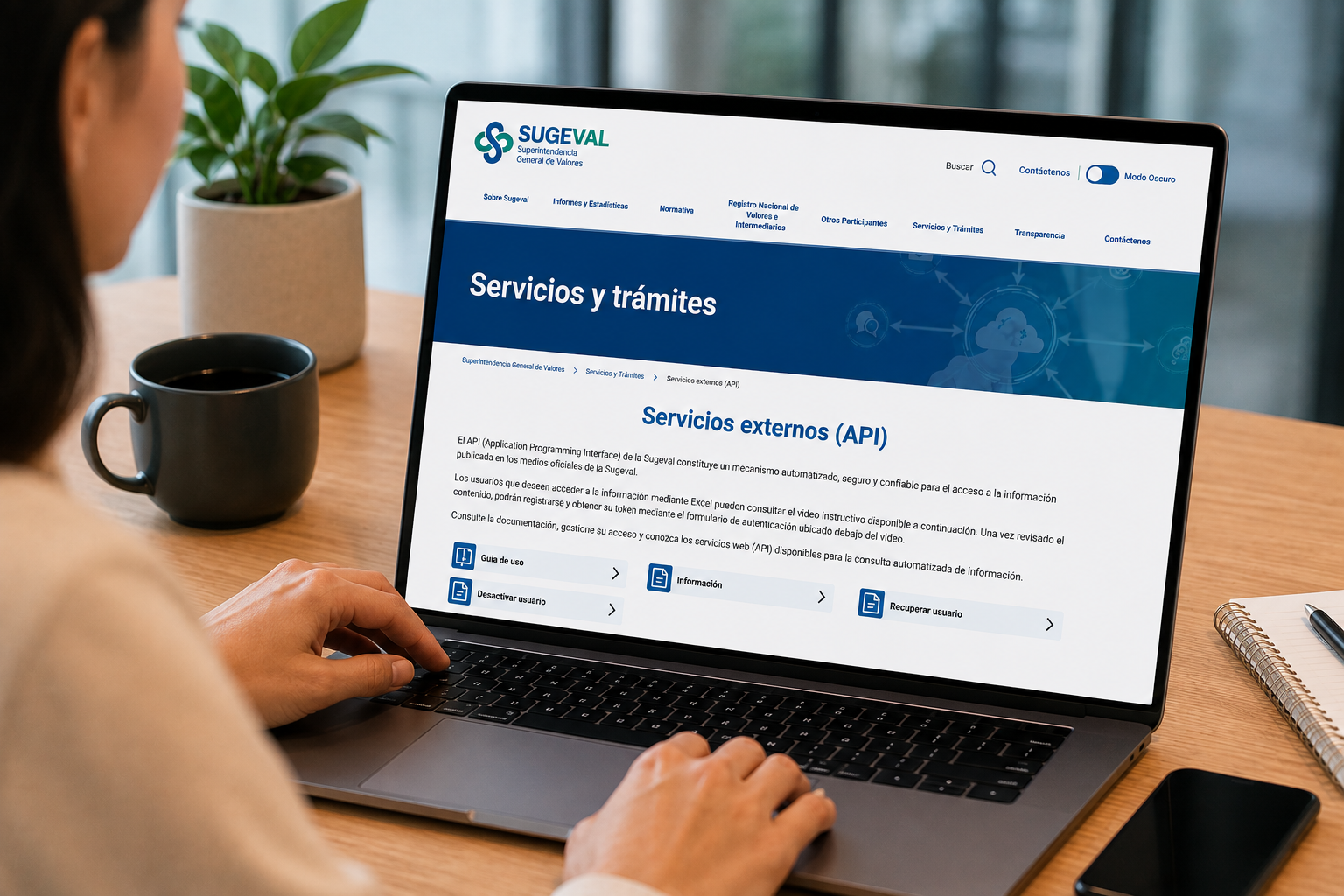 Servicios Externos (API)